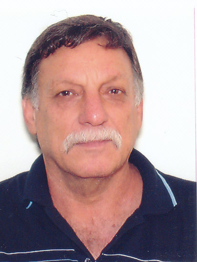 תמונה של דני פרלמן