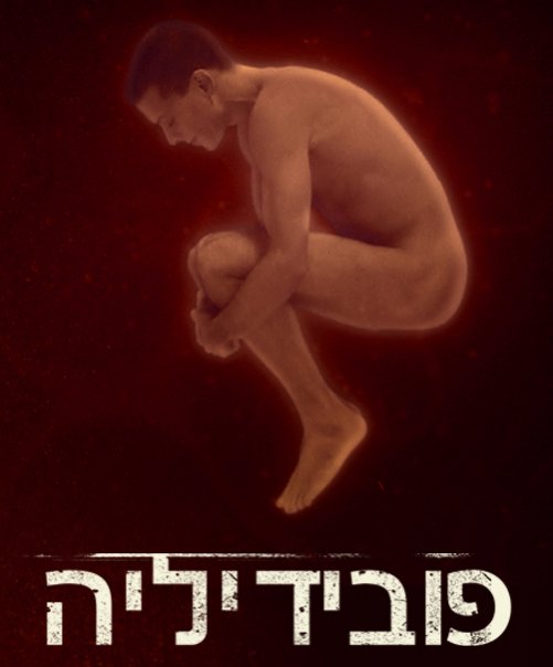 פובידיליה