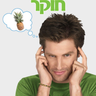 בניחוש חוקר