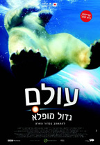 עולם גדול מופלא - כרזה