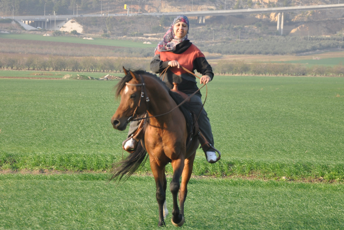 האישה מהסינמטק