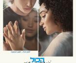 הכל הכל