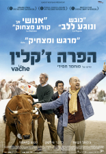 הפרה ז'קלין