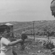 רחביה: סיפורה של שכונה בירושלים