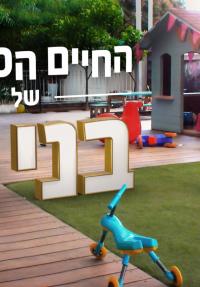 החיים הסודיים של בני 4: ישראל - פוסטר