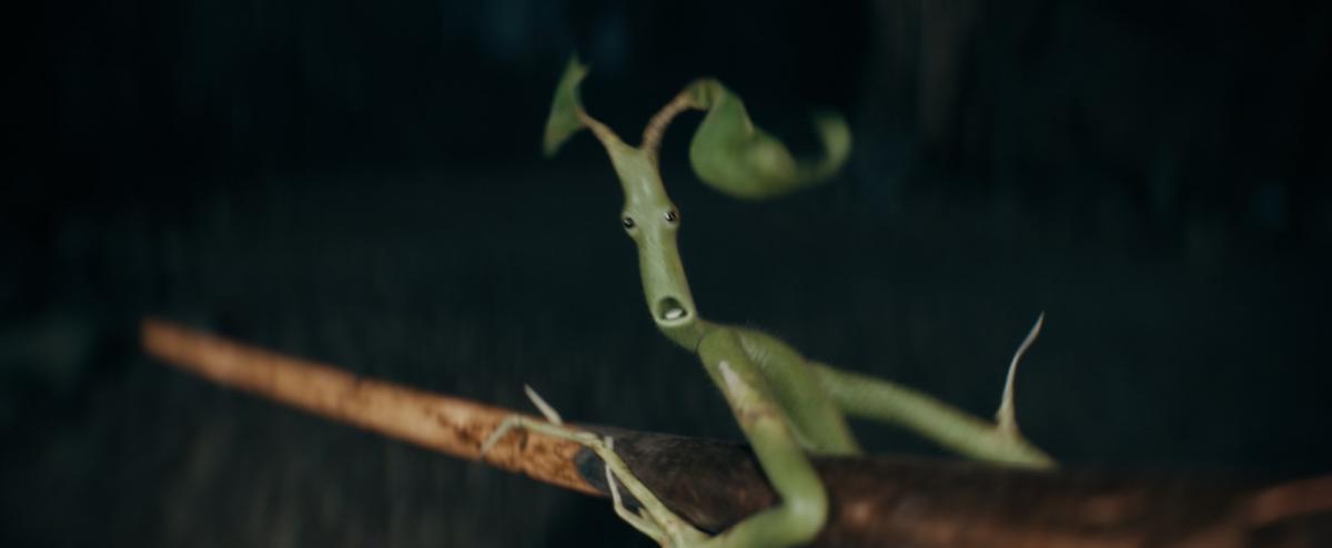 חיות הפלא 3: הסודות של דמבלדור