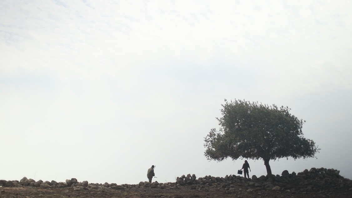 החבר השמן שלי