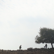 החבר השמן שלי