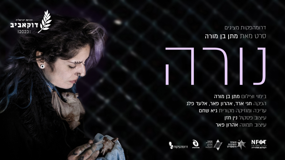 נורה