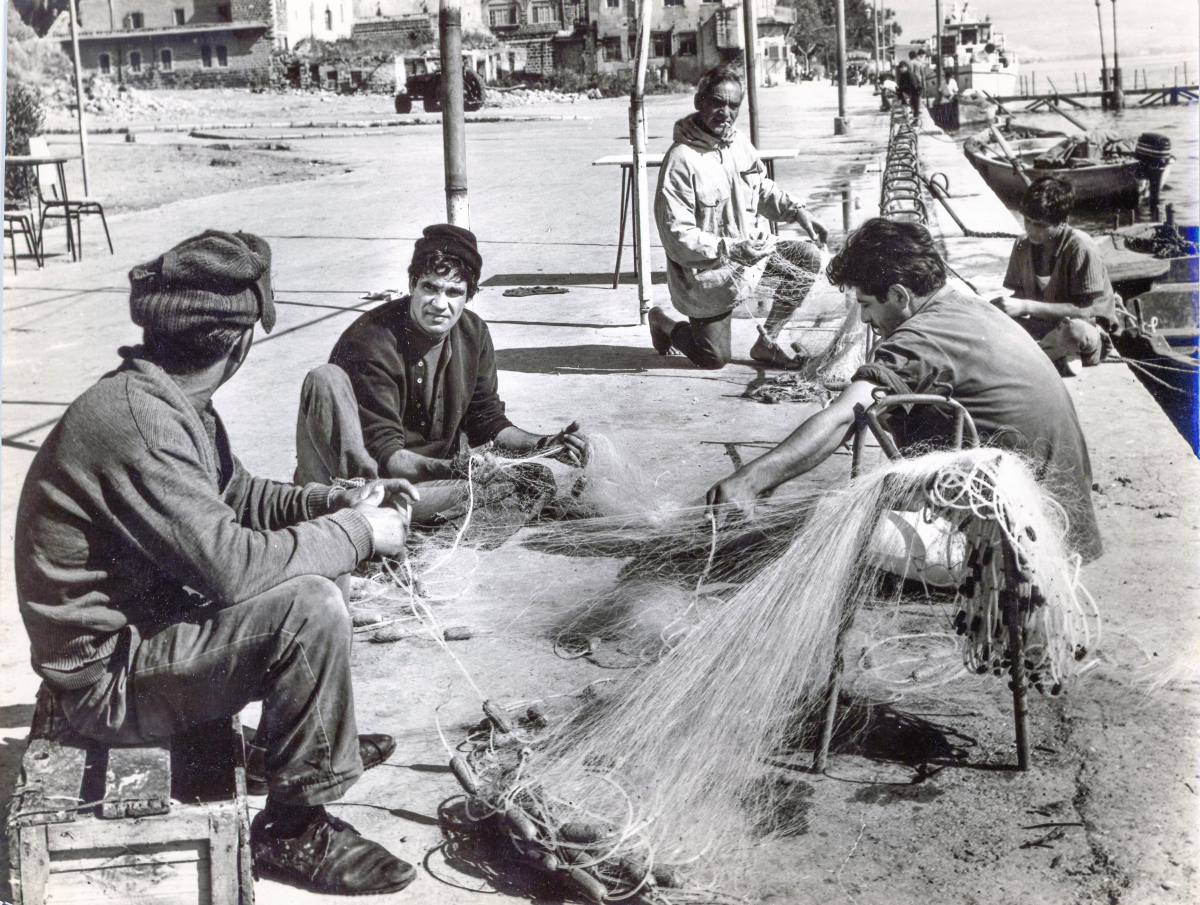 תמונה של זאב רווח מתוך &quot;להט במים&quot;
