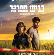 כביש הסרגל