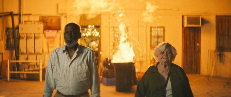 תלמה