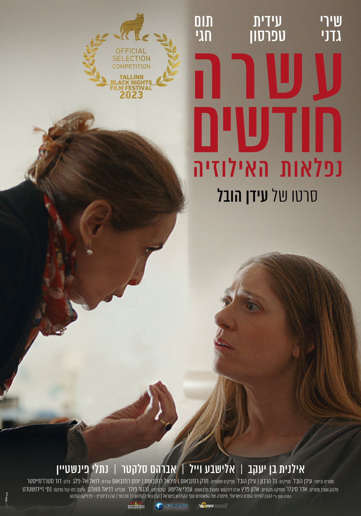 עשרה חודשים: נפלאות האילוזיה