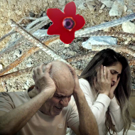 פרח אדום