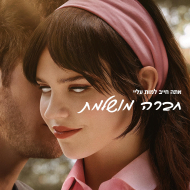 חברה מושלמת