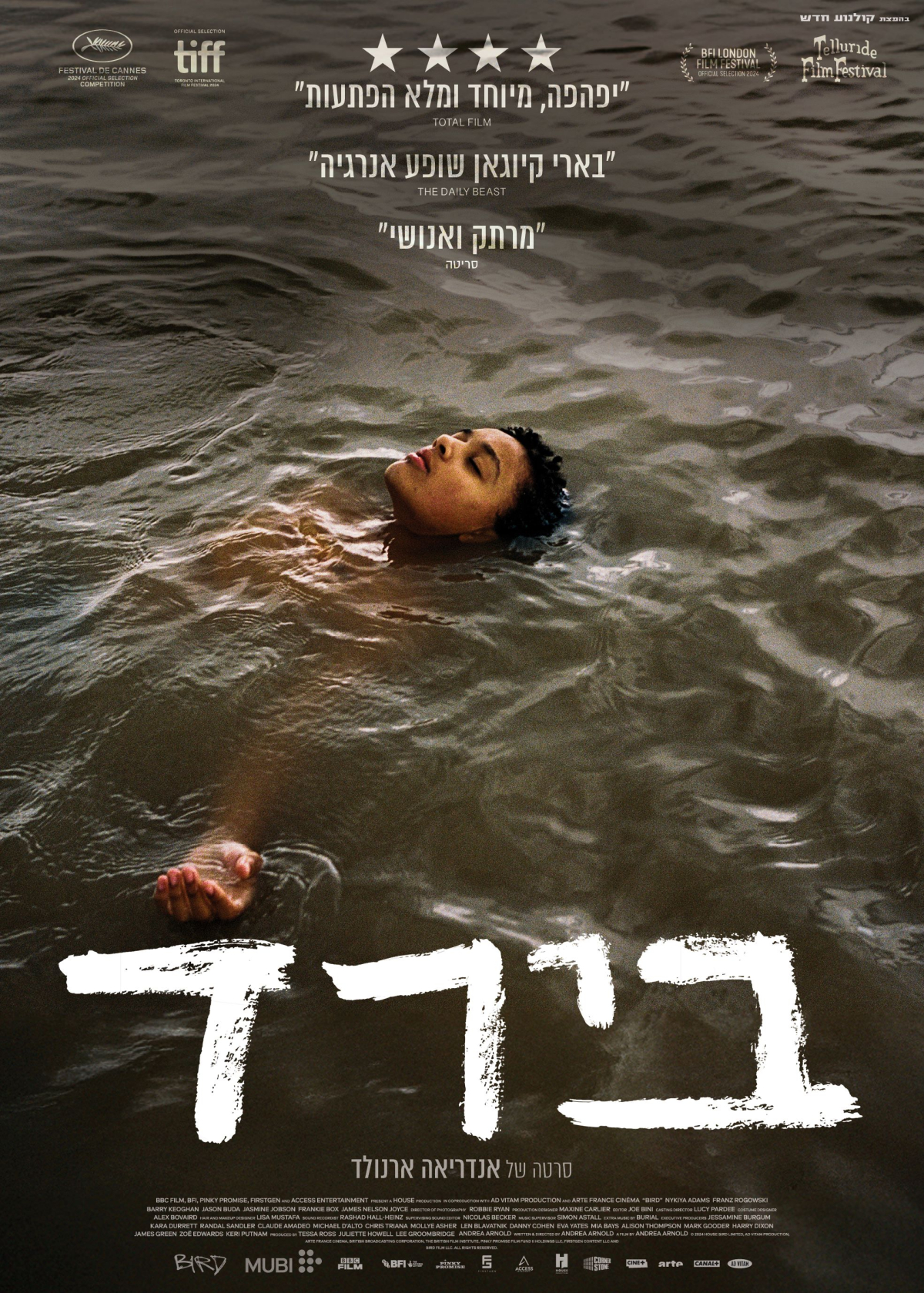 בירד
