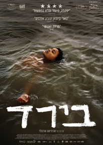 בירד