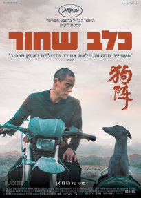 כלב שחור