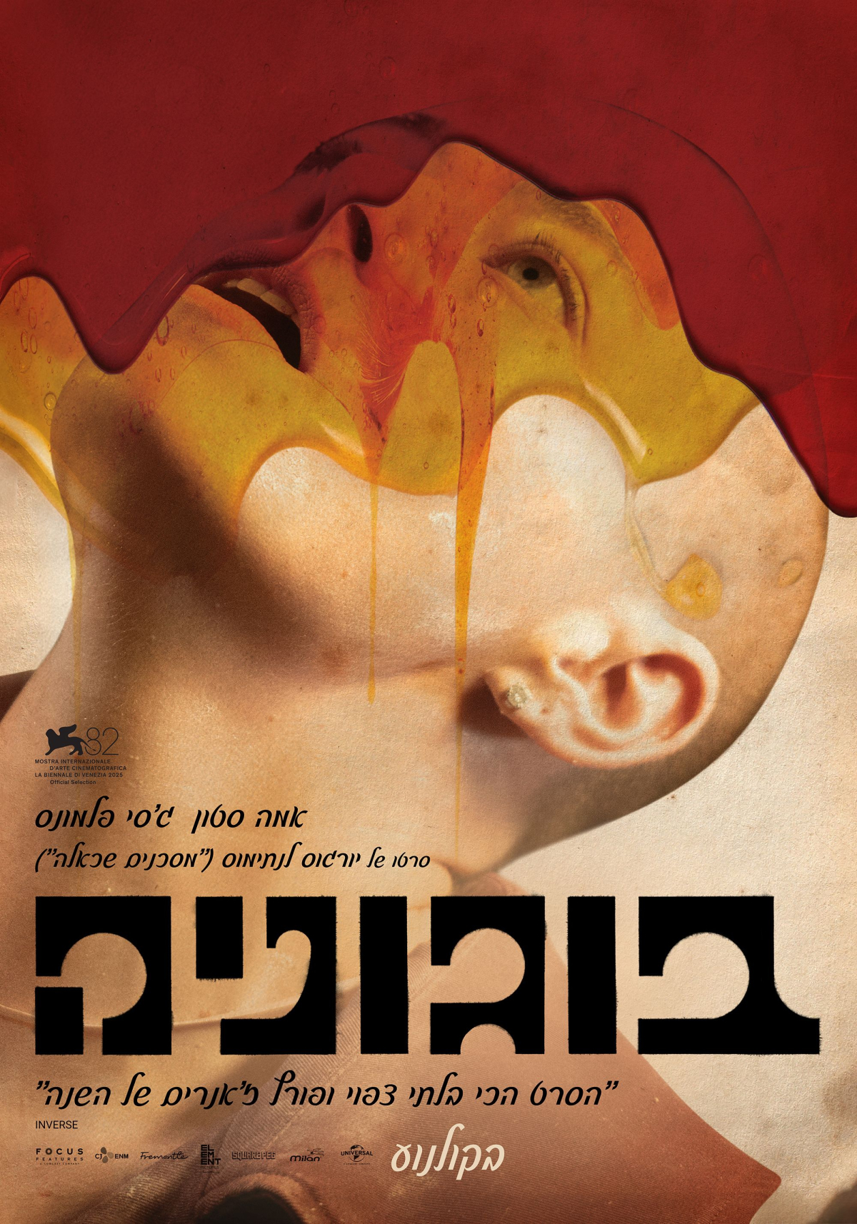 בוגוניה