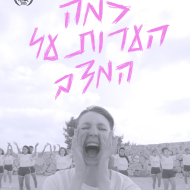 כמה הערות על המצב