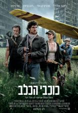 כוכבי הכלב