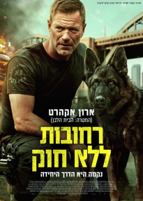 רחובות ללא חוק - כרזה