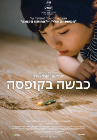 כבשה בקופסה - כרזה