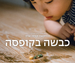 כבשה בקופסה