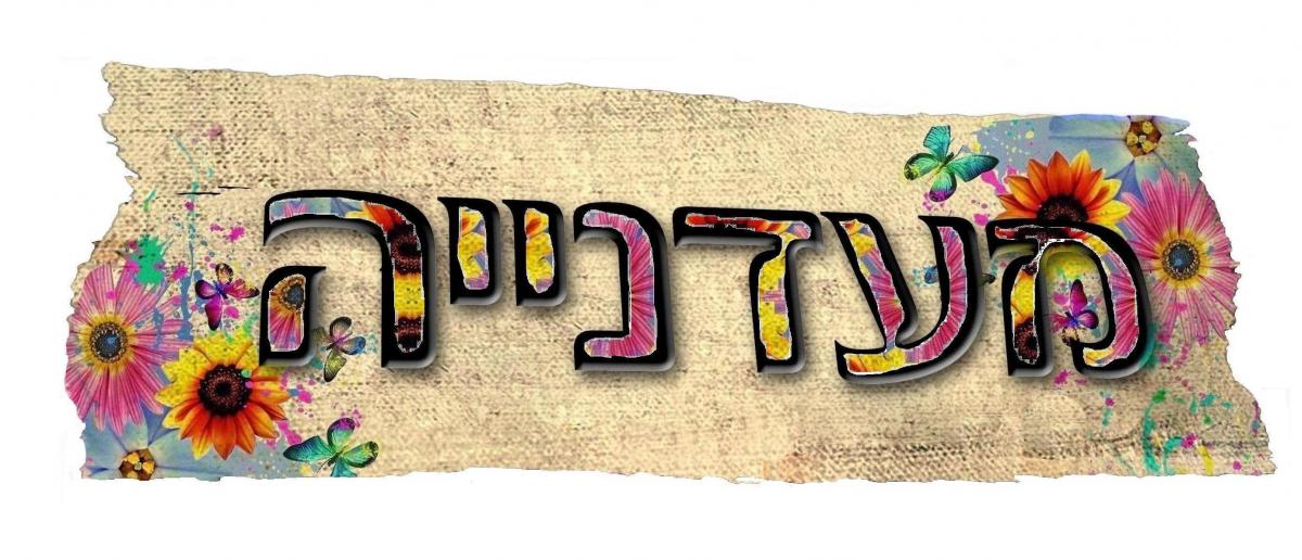 מעדנייה