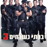 בלתי נשכחים 3