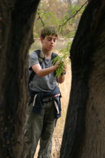 גיבורים קטנים