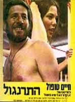 התרנגול - כרזה