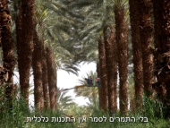 כולם צ'יף - טריילר