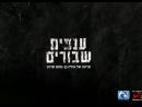 ענפים שבורים - טריילר