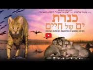 כנרת: ים של חיים - טריילר