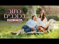 כתוב בכוכבים - טריילר מתורגם