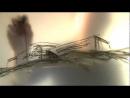 מנדלסון - חזיונות בלתי פוסקים - טריילר
