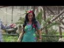 מיקי בספארי - טריילר