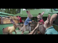 פיטר ראביט - קטע