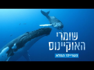 שומרי האוקיינוס - טריילר מתורגם