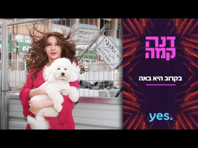 טריילר