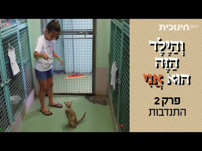 פרק מלא