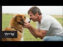  - טריילר מתורגם