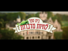 קדימון