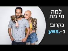 קדימון