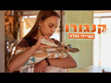קדימון