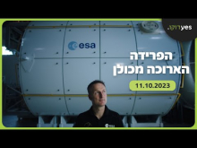  - טריילר