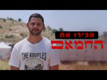 קדימון