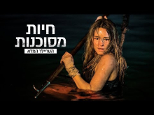 חיות מסוכנות